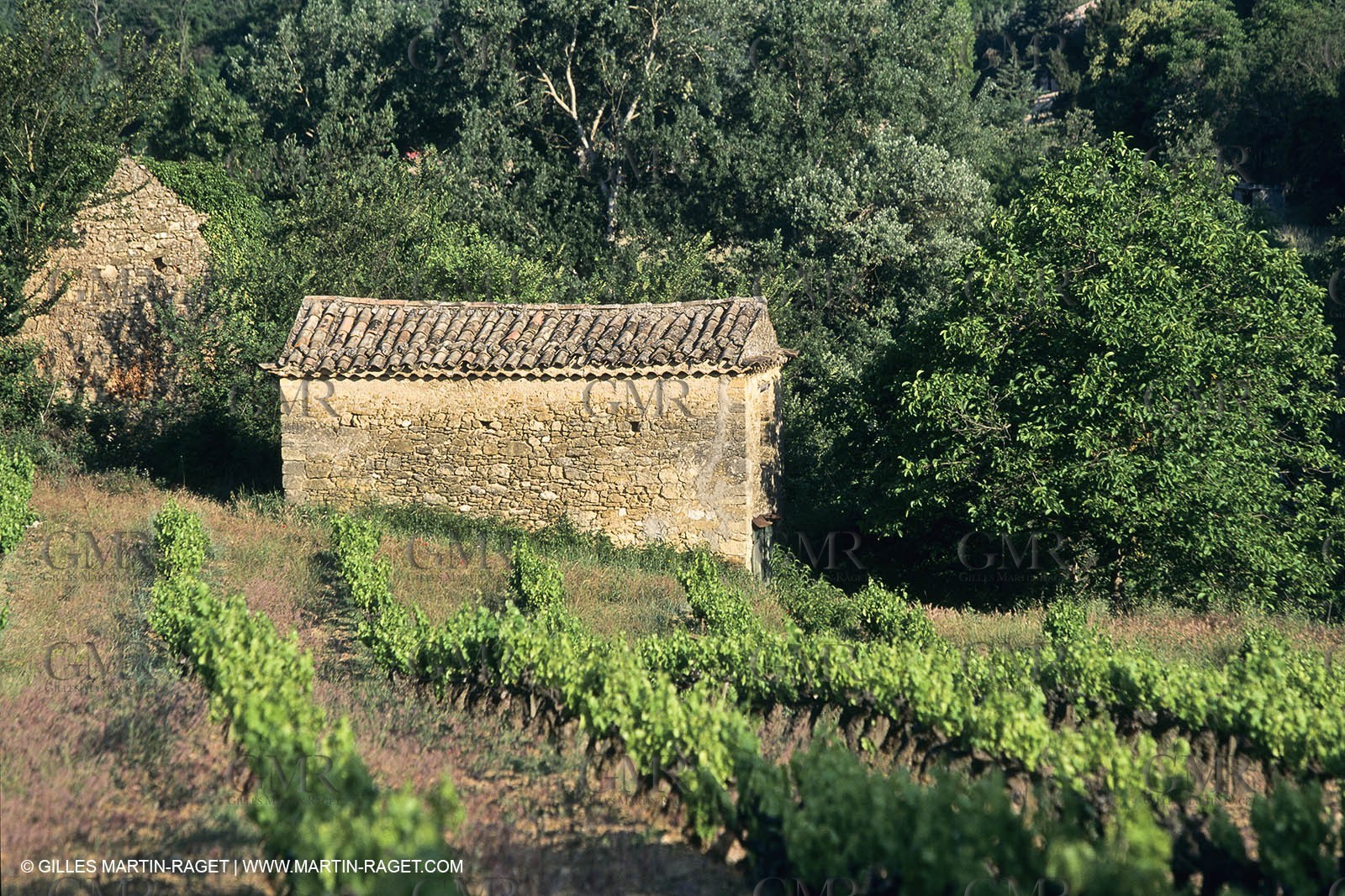 Aix en Provence area