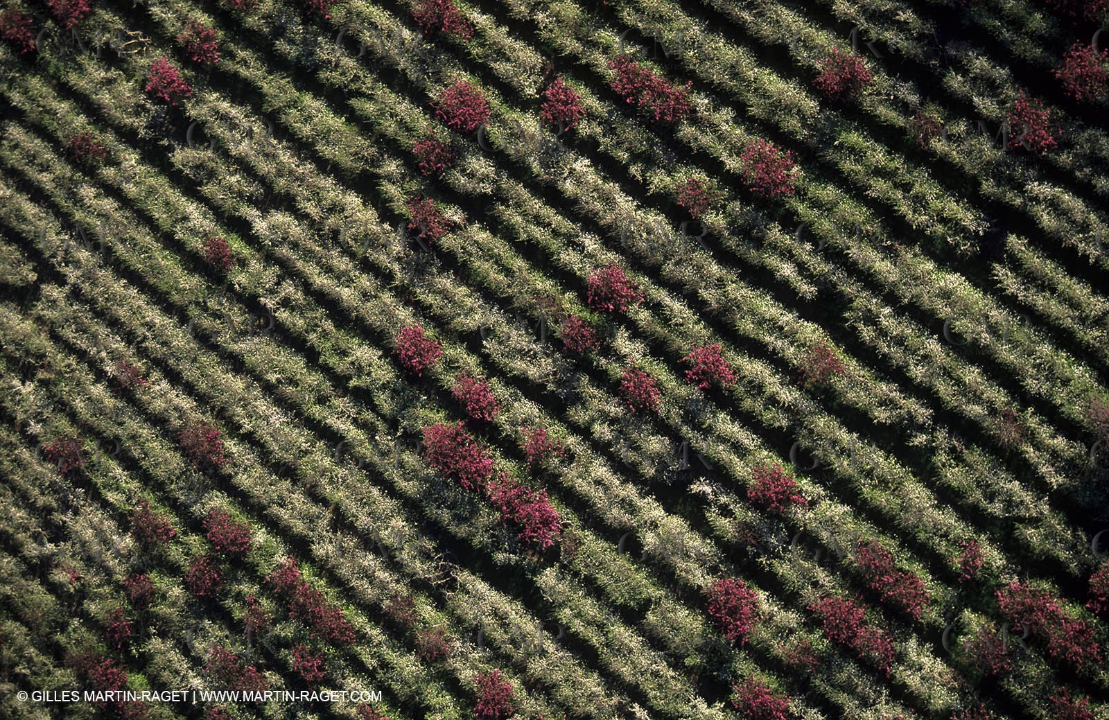 Aix en Provence surroundings