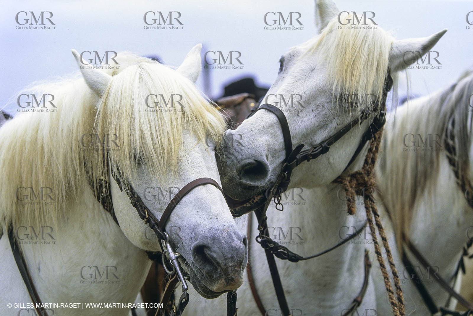 Arles (FRA,13) - Costume from Arles Fest