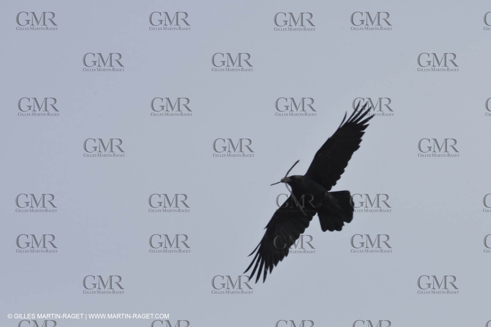 21 04 2010 - Marseille (FRA,13) - The Calanques - Devenson Cliffs