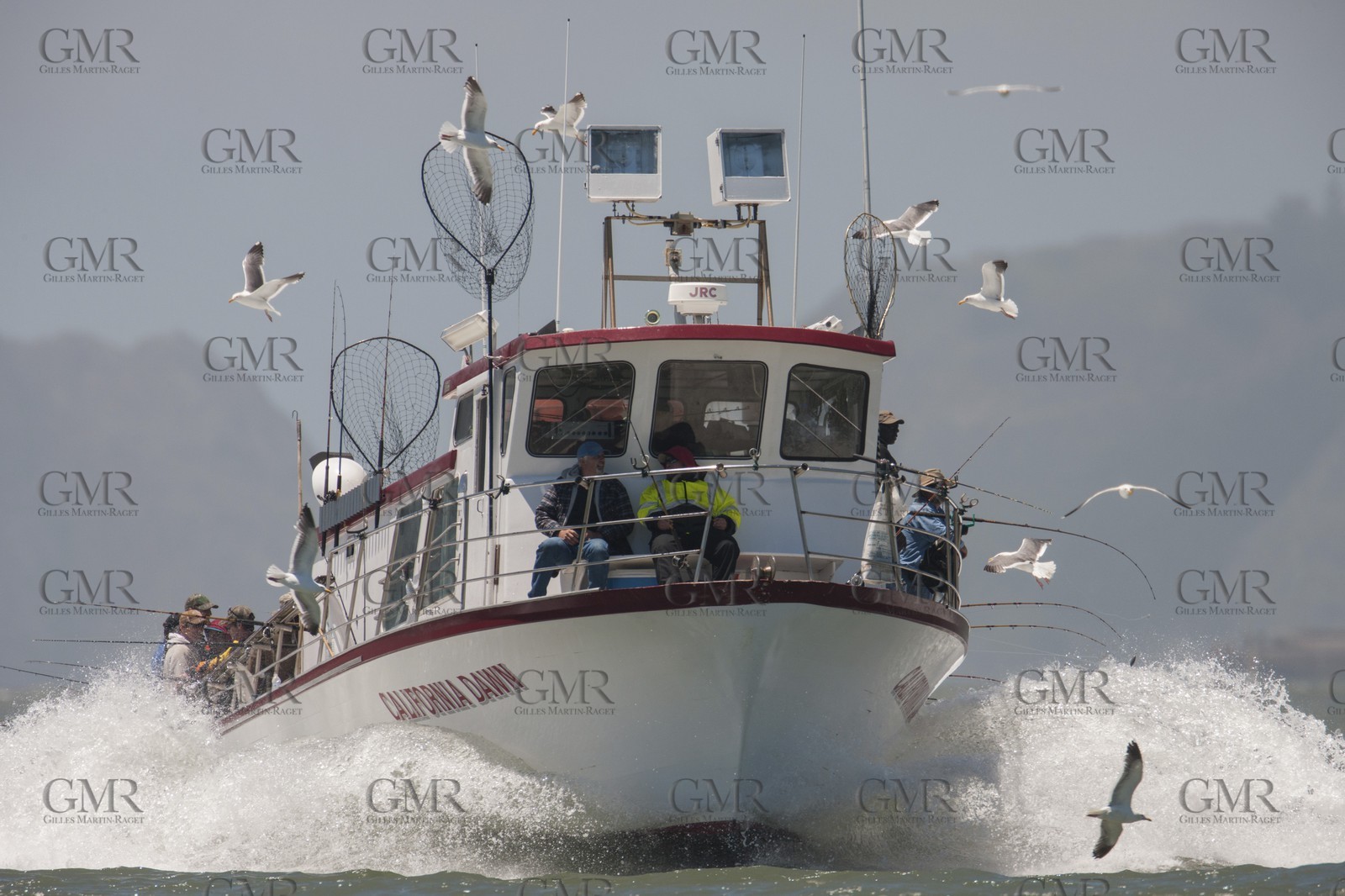 21 06 2013 - San Francisco (USA,CA) - 34th America's Cup - Luna Rossa and ETNZ training
