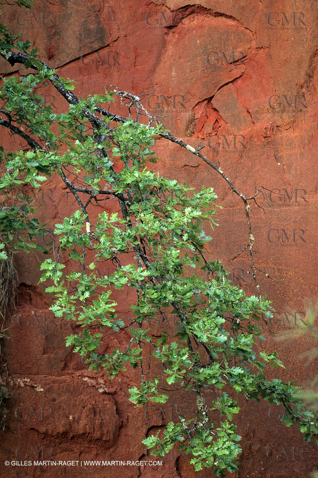 France, Provence, Luberon, Carrières d'ocre près d'Apt, ocher stone pit near Apt