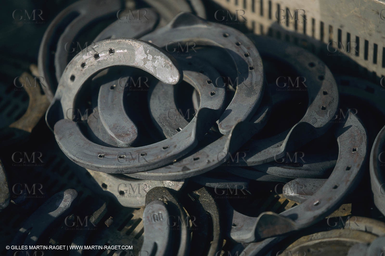 France, Provence, Camargue, Gardians de Camargue, métier, fêtes, élevage, tri