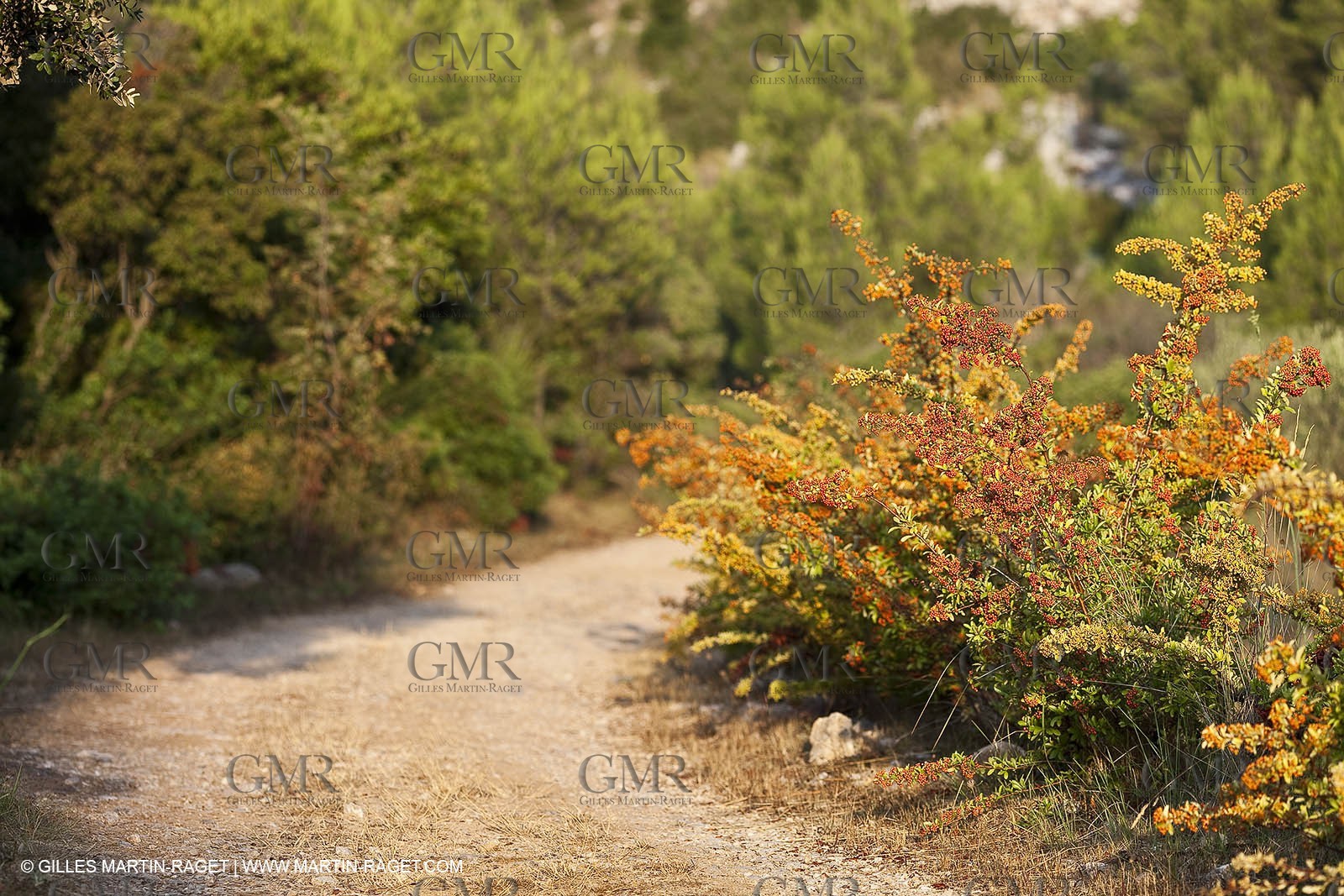28 08 2009 - Sanary sur mer (FRA,83)