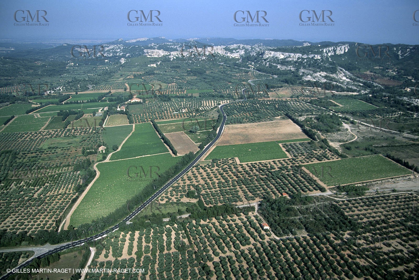 Baux de Provence valley olive tree fields, olives, olive oils