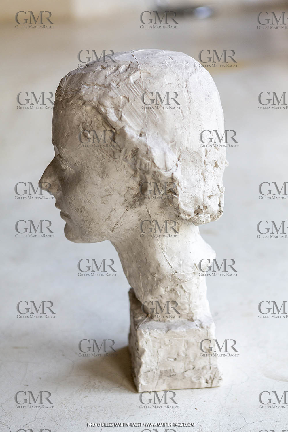 20 07 2020, St Rémy de Provence (FRA,13), Oeuvre de Germaine Richier, Buste n° 15 1933 ou 1934, plâtre de tirage, collection particulière