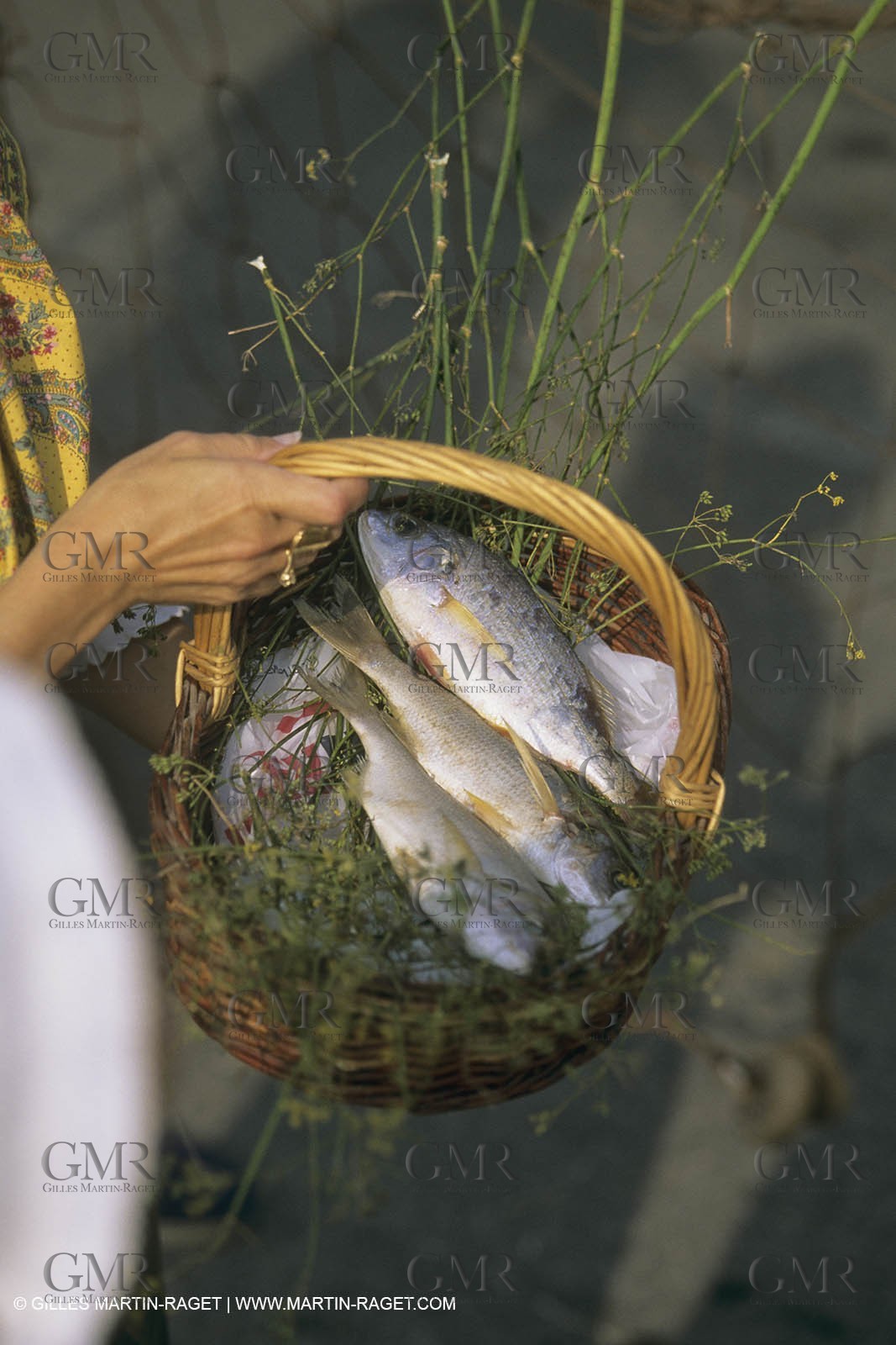 Fest of Saint Peter, Patron of the fishermen