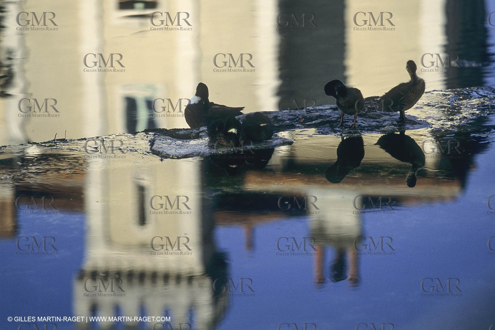 France, Provence, L'isle sur la Sorgue