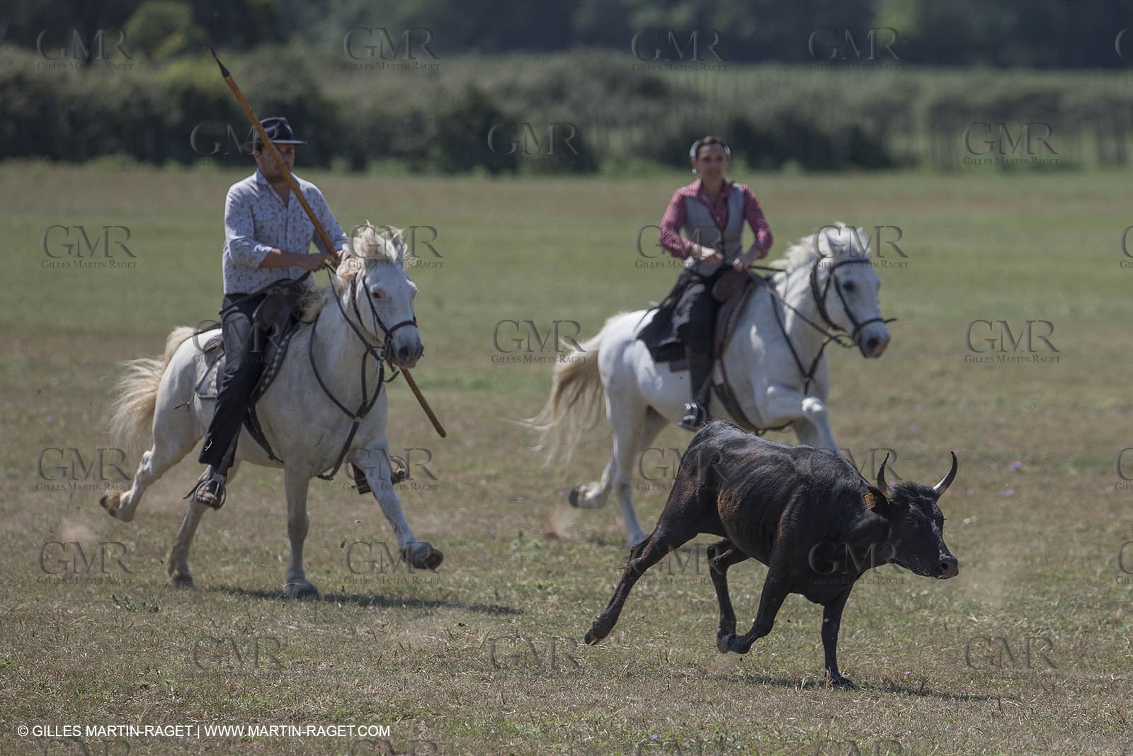 Course de Satin 2014 - Arles (FRA,13) - 1 06 2014**The satin race - Arles (FRA,13) - 01 06 2014