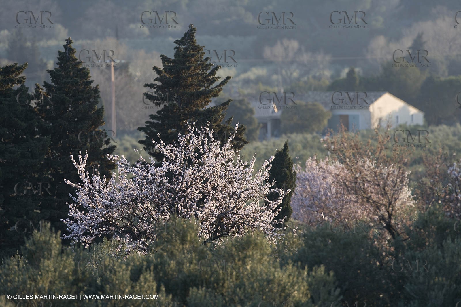 09 02 2008 - Les Baux de Provence (FRA, 13) - Alpilles hills landscapes