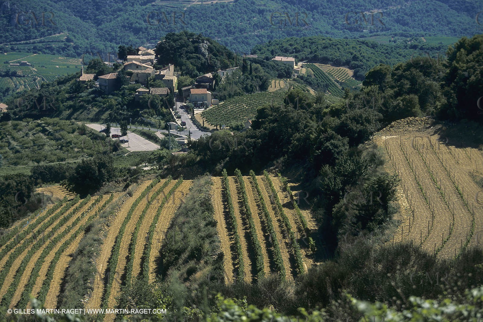 France, Provence, Vignobles des vins de Provence