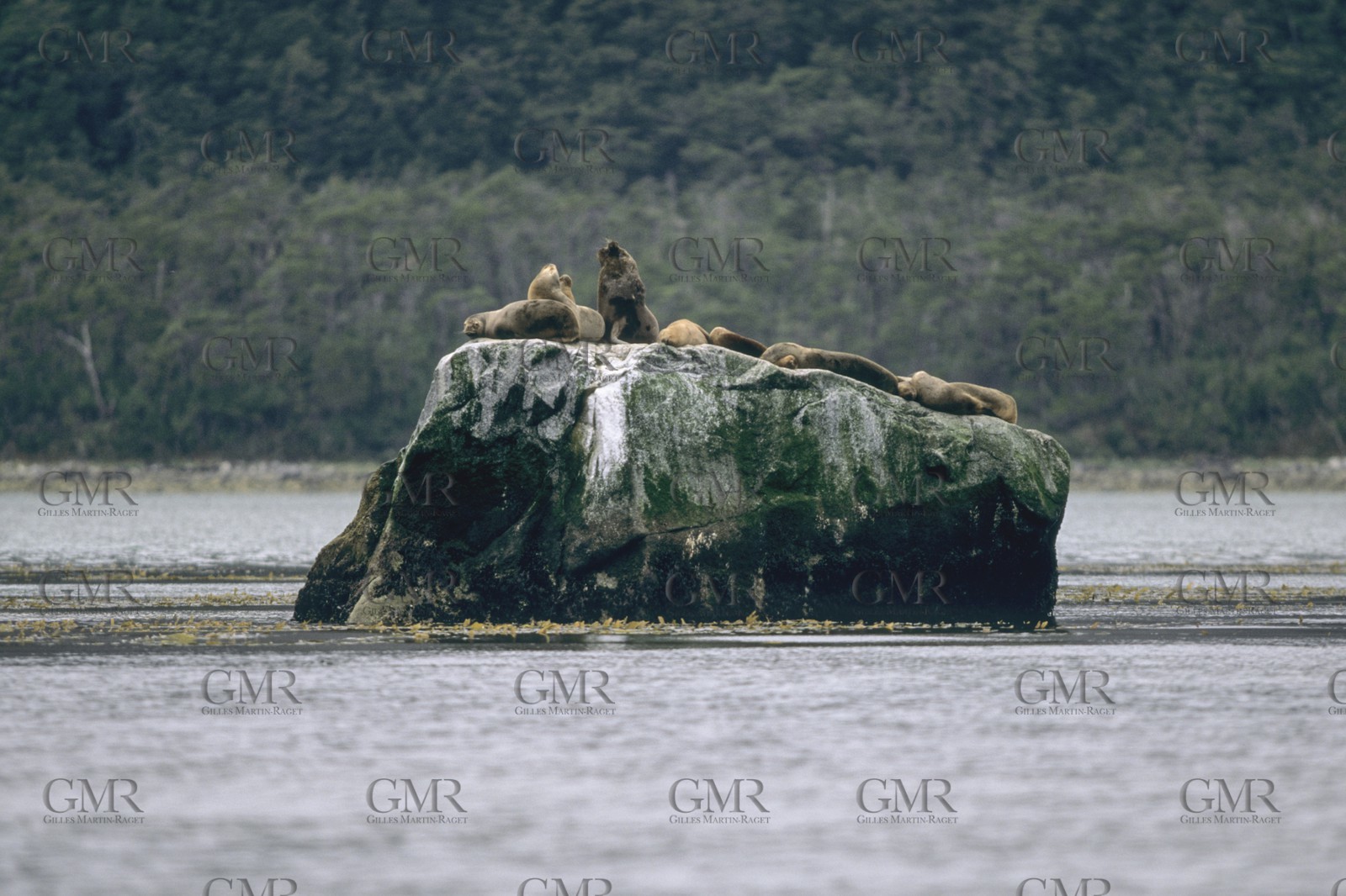 Cruising destination, Patagonia (Chile)