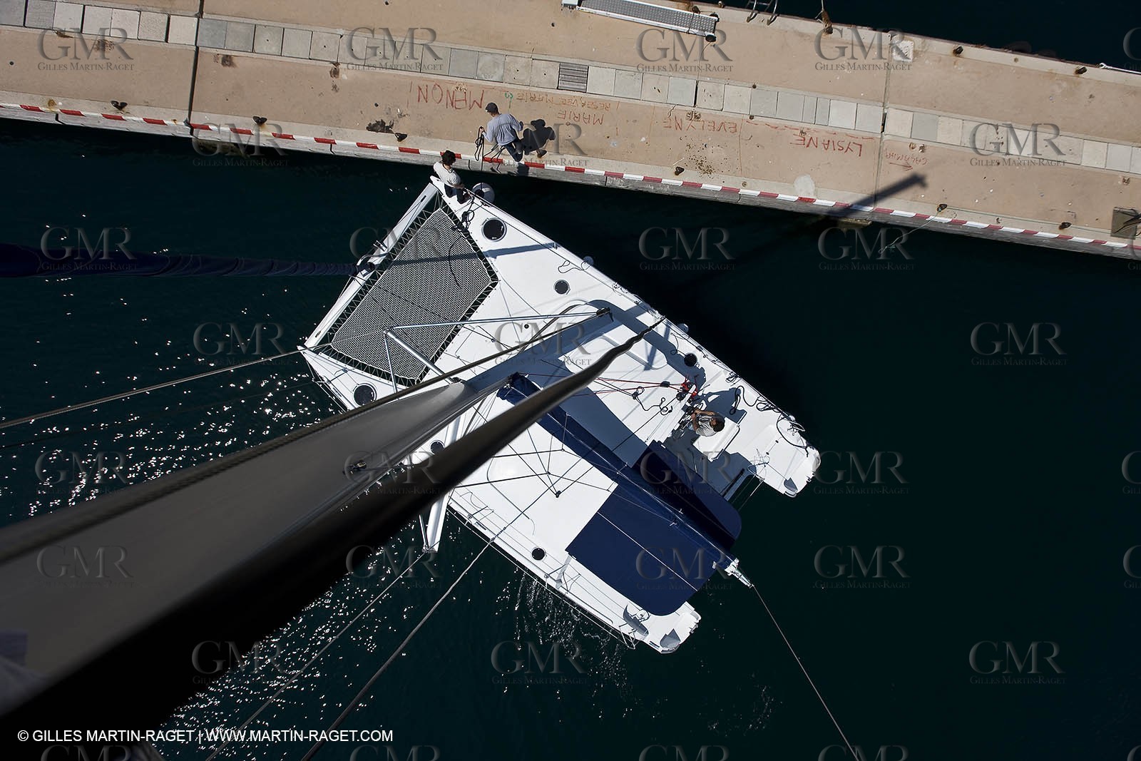 FXCat_0336.jpg