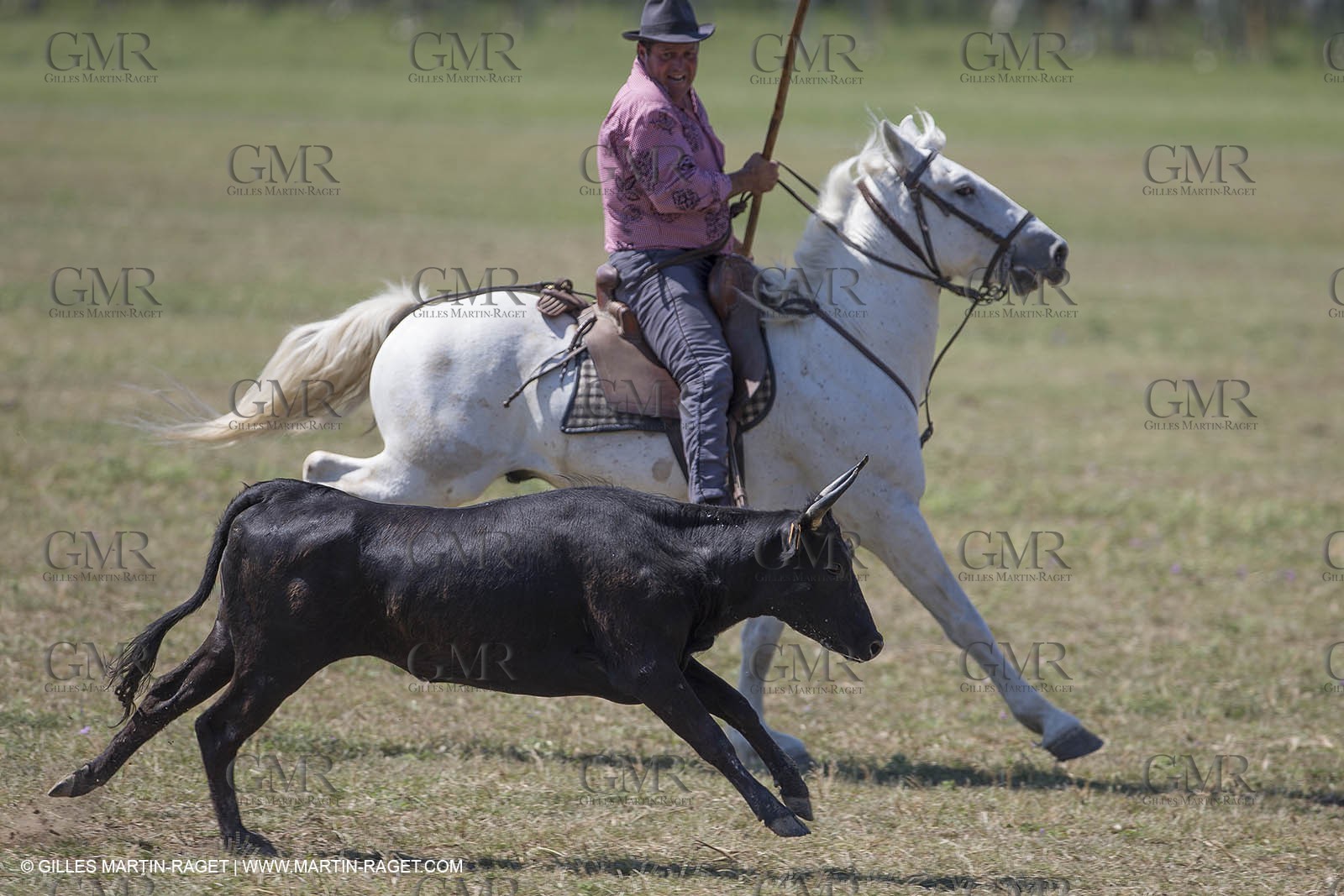 Course de Satin 2014 - Arles (FRA,13) - 1 06 2014**The satin race - Arles (FRA,13) - 01 06 2014