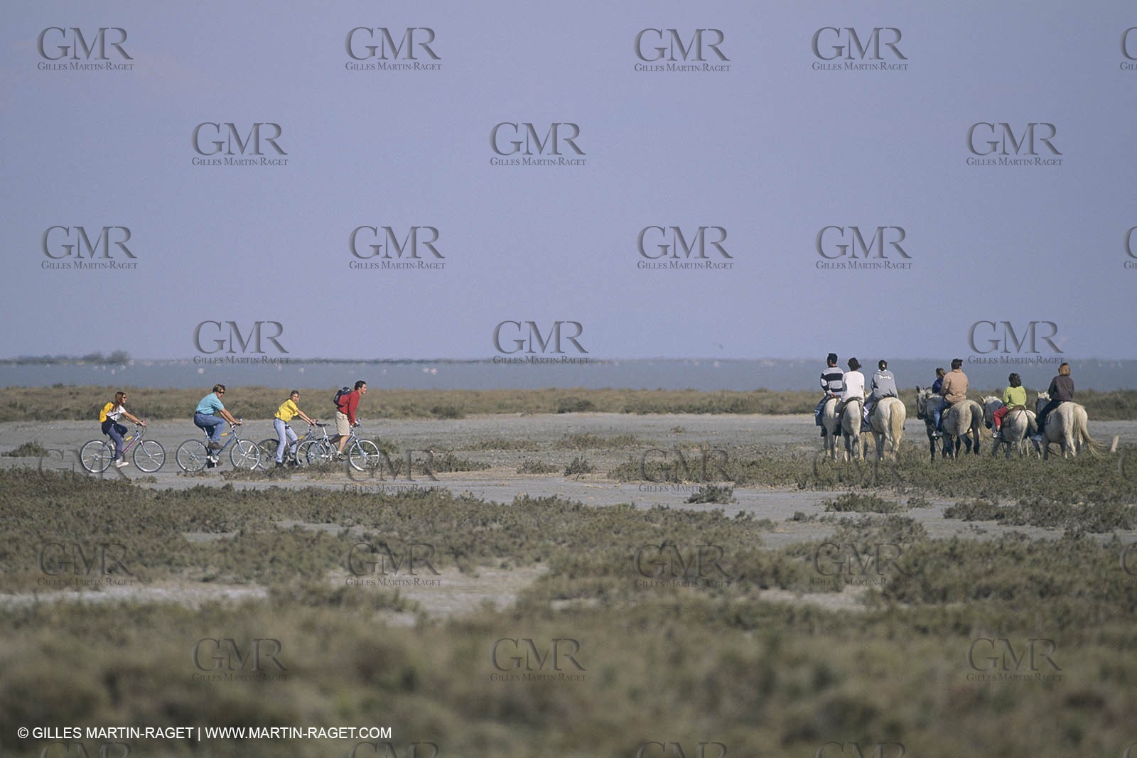 France, Provence, Camargue, Vélo tourisme, cycling