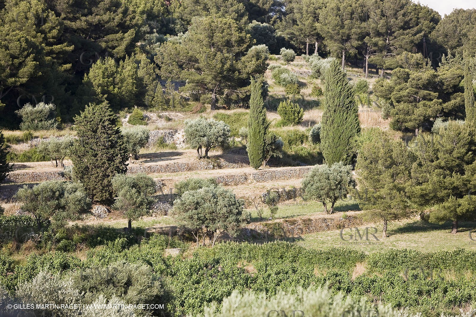 26 06 09 - Sanary sur mer (FRA,83)