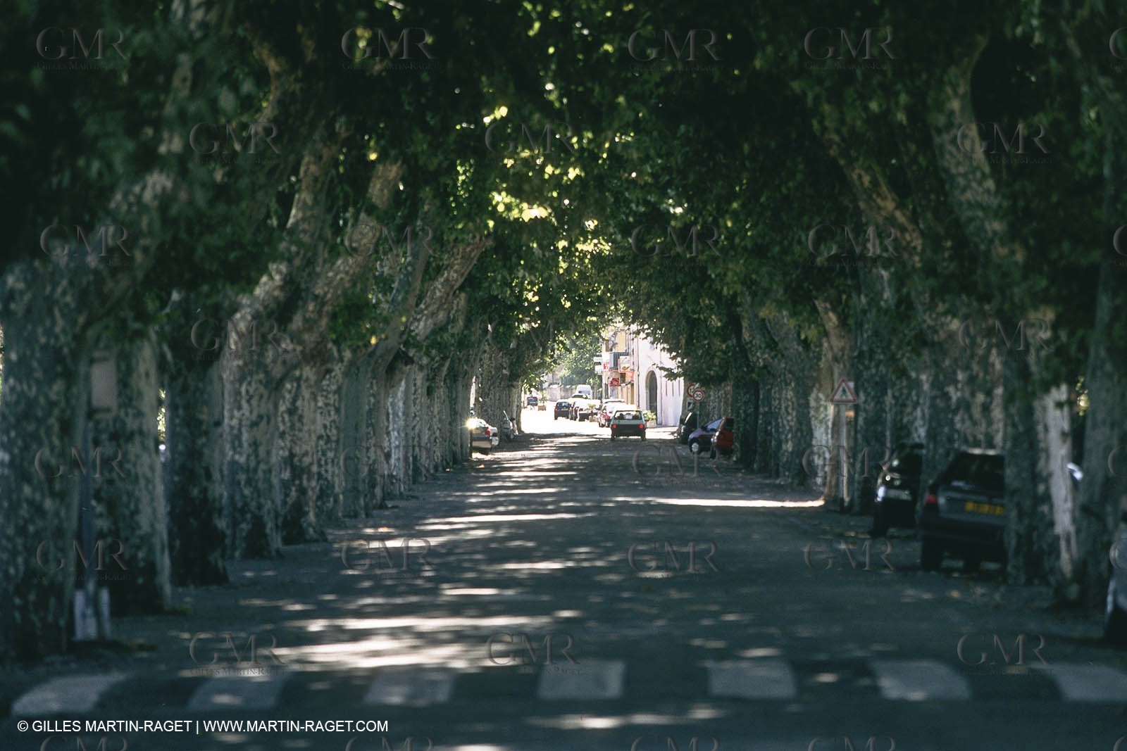 costieres_plaine0128.jpg