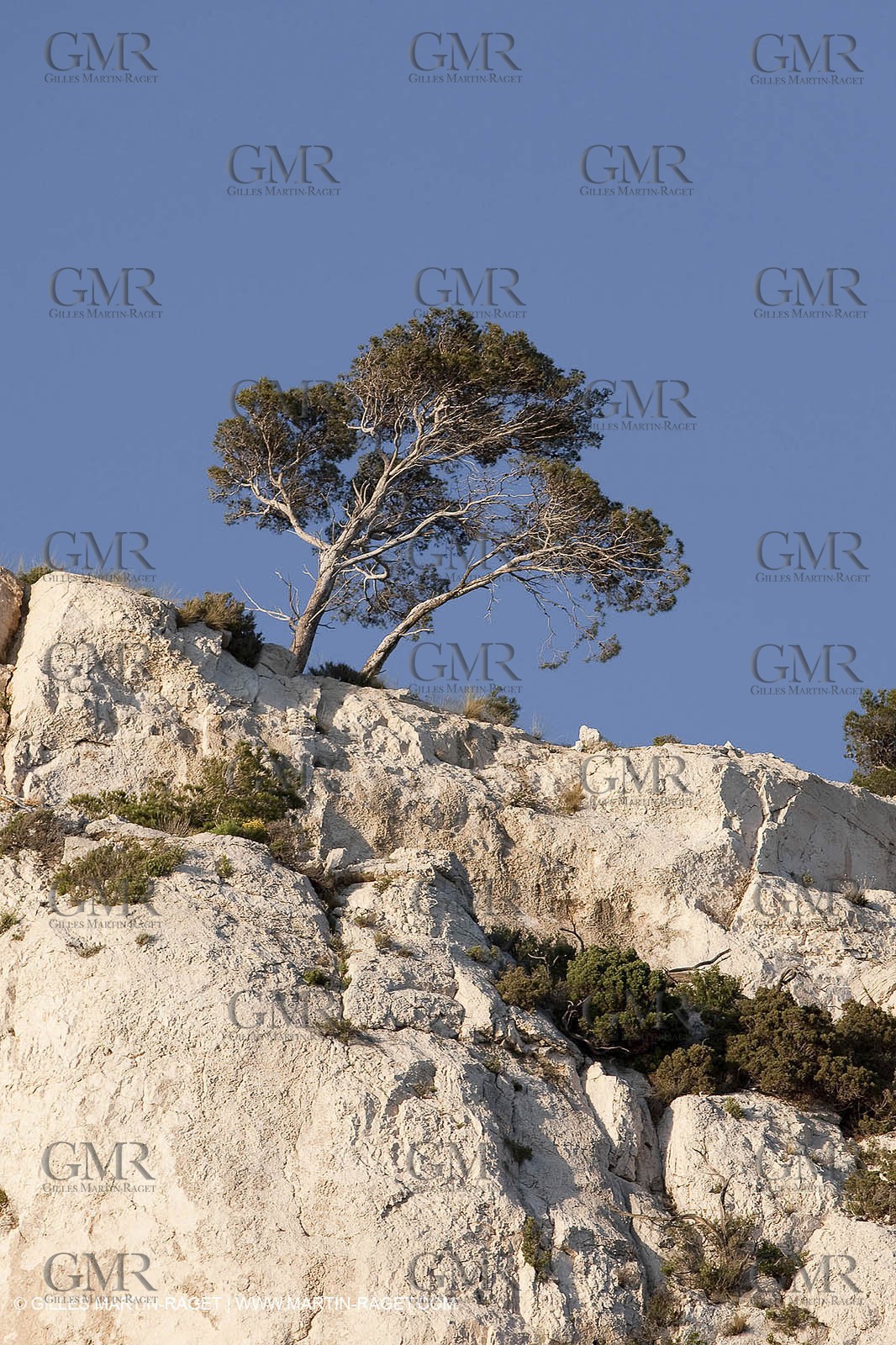 06 05 2009 - Marseille (FRA, 13) - Les Calanques - near Castelviel cliffs bottom