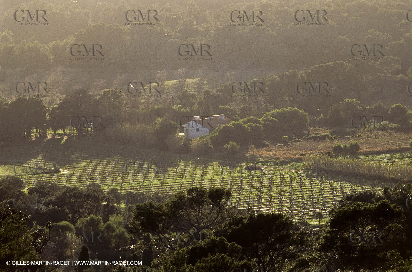 France - Var - 83 - Hyeres islands - Porquerolles