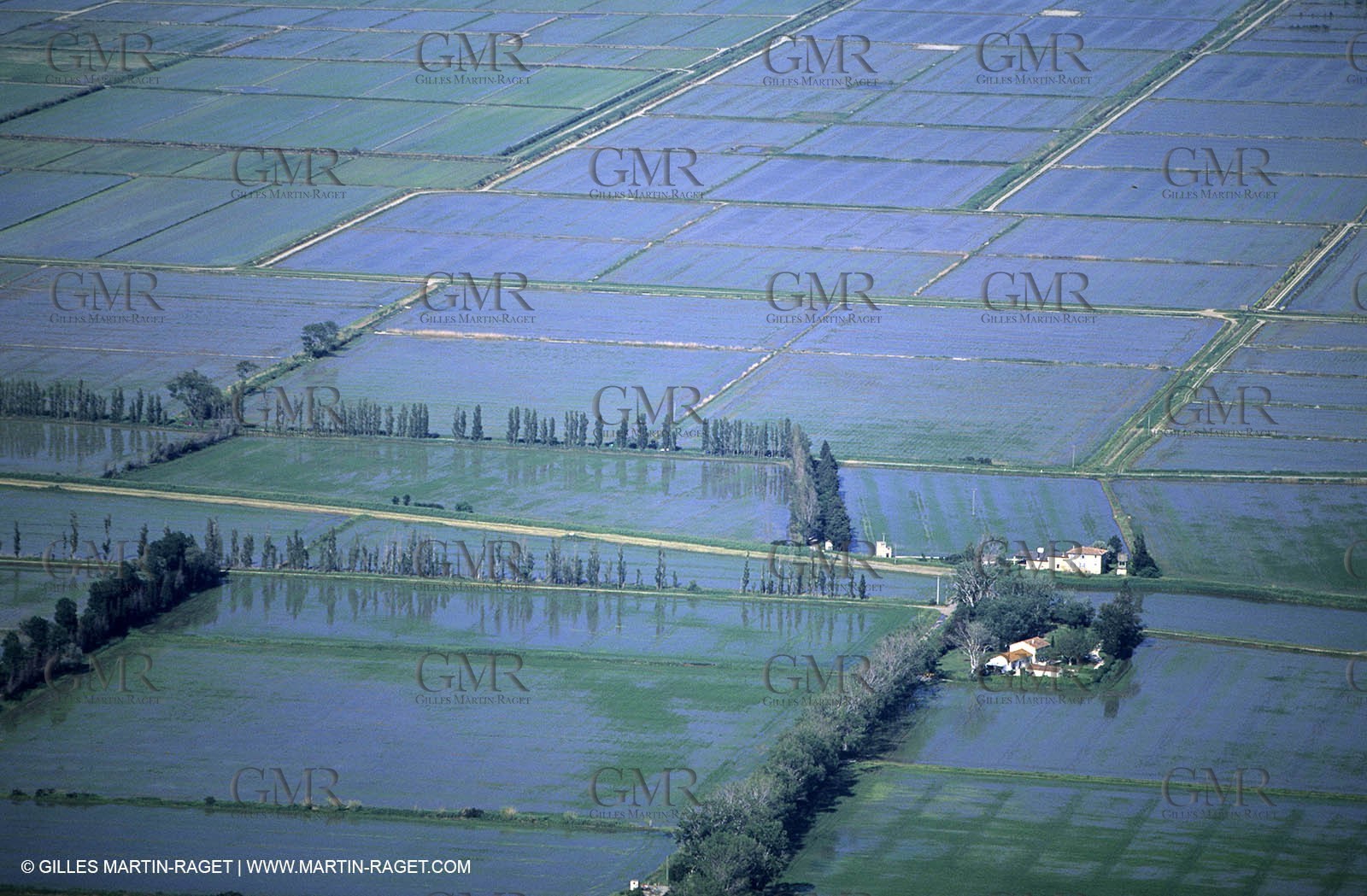 Rhône river, Rice fields in Camargue