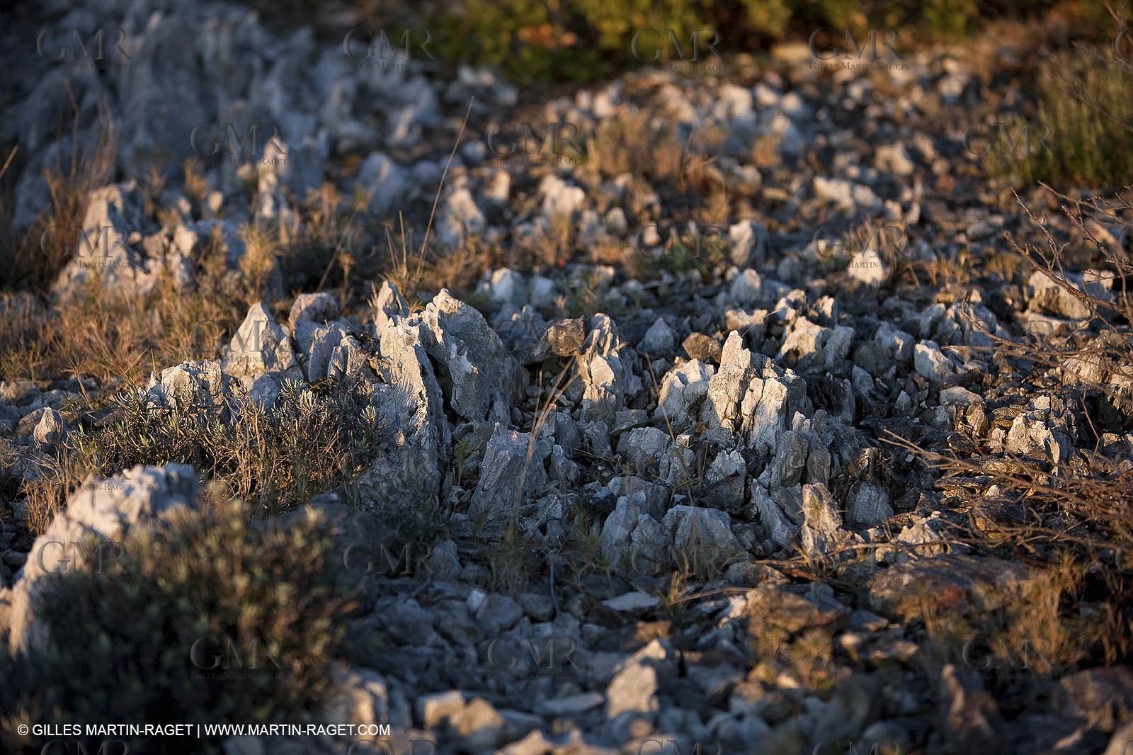 26 03 2009 - Marseille (FRA, 13) - Les Calanques - Plateau de l'Homme Mort
