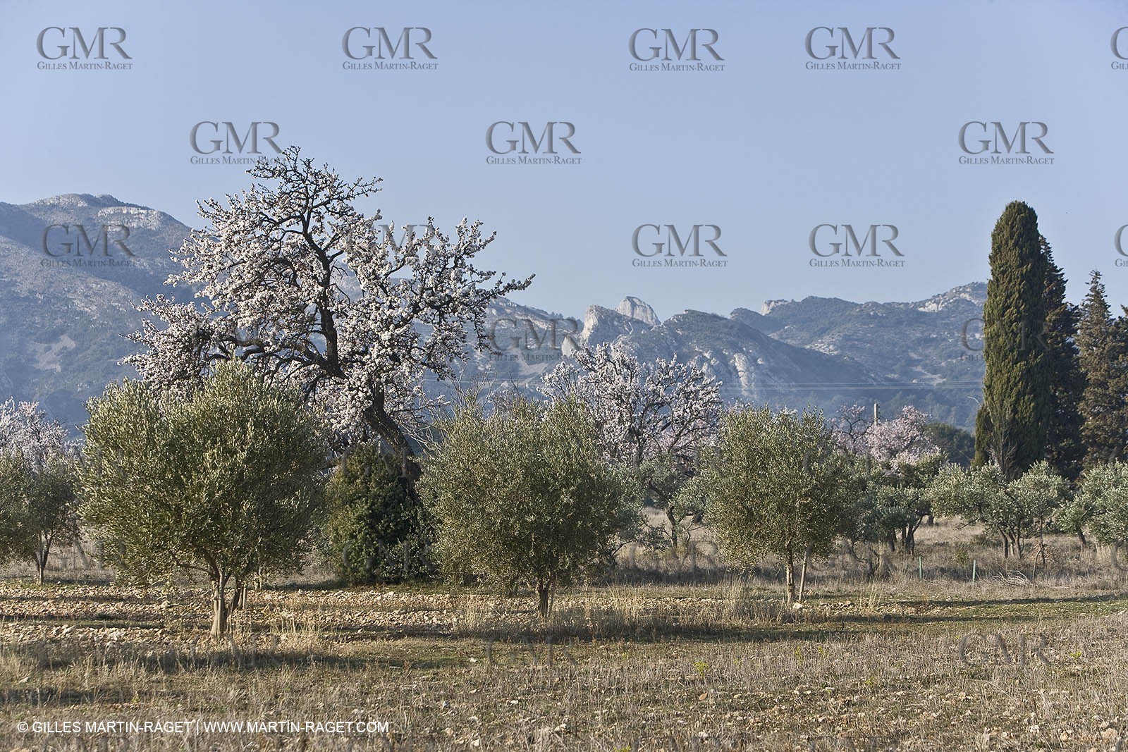 16 02 2008 - Saint Rémy de Provence (FRA, 13) - Alpilles hills landscapes