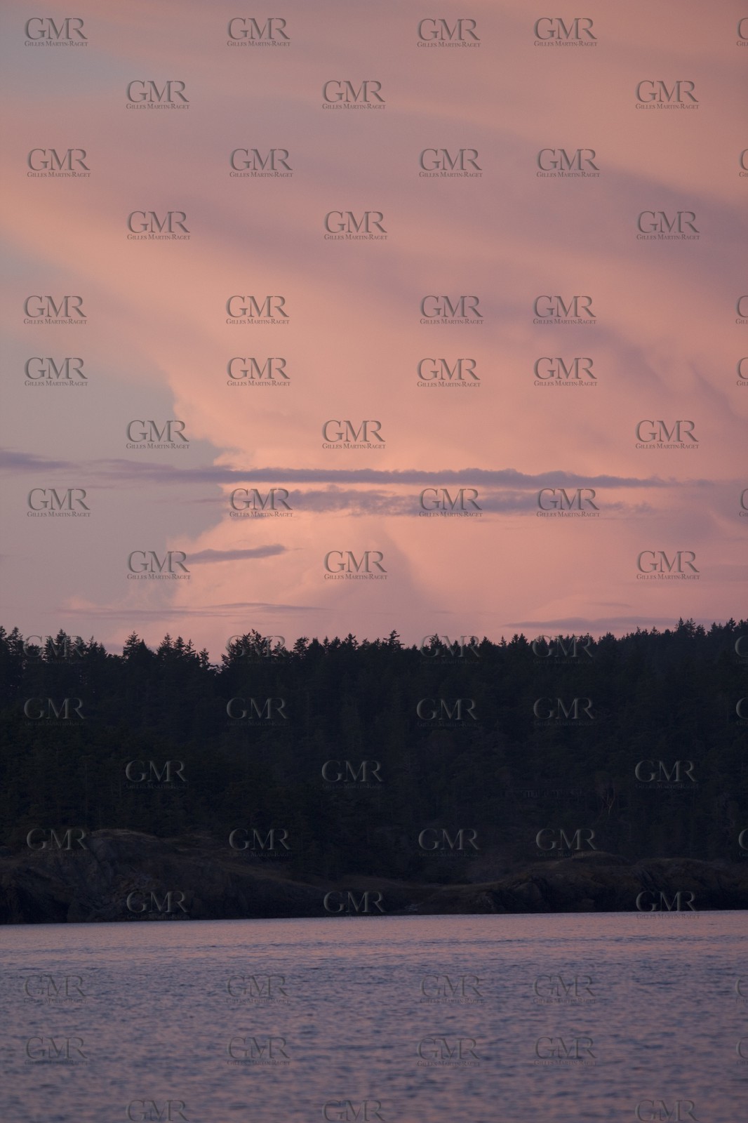 01 09 2008 - San Juan Islands (WA, USA) - Killer Whales