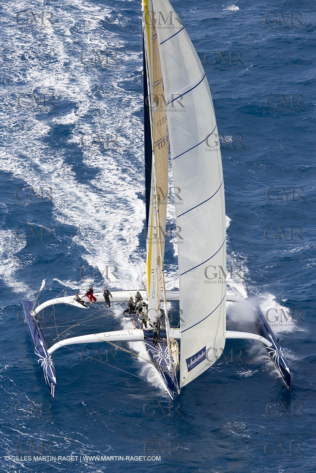 YC9H6446.JPG