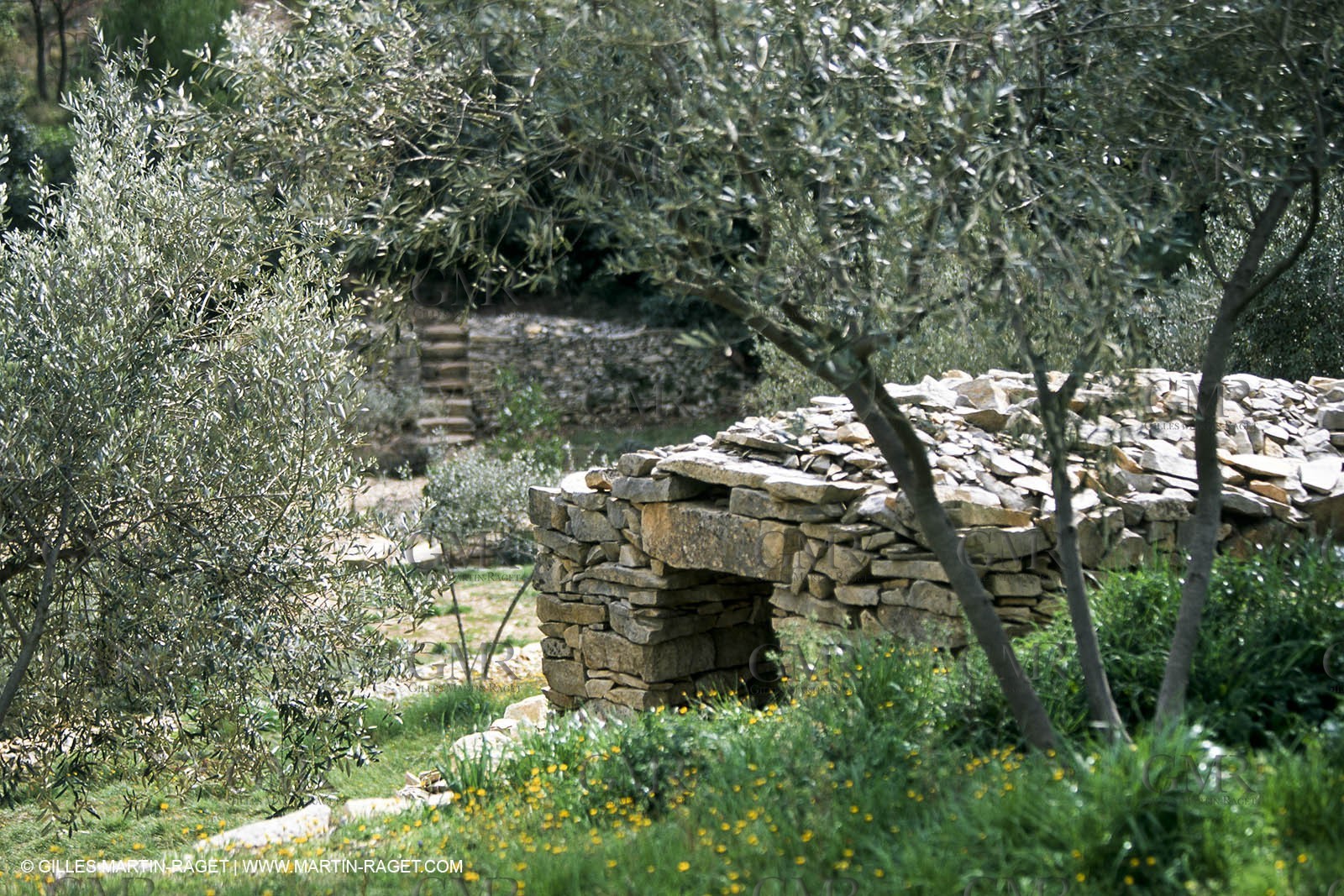 Paysages de Nîmes Métropole (FRA,30) - La Garrigue