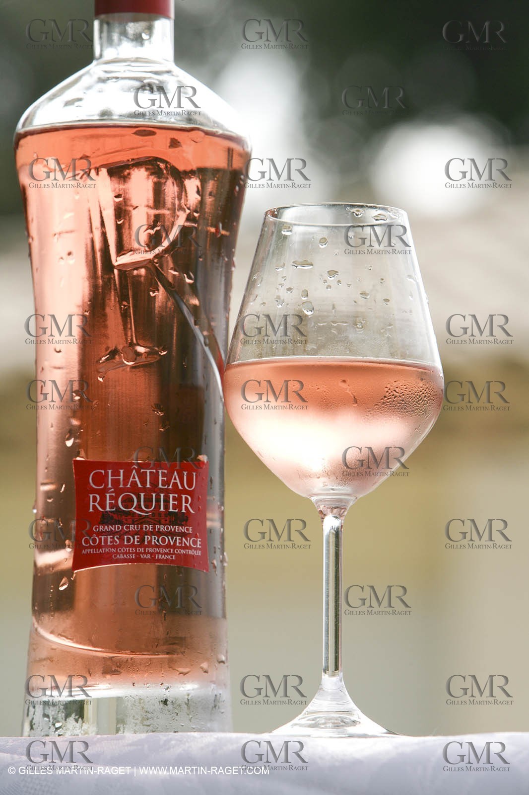 28 02 2008 - Cabasse (FRA, 83) - Domaine du Lac vines