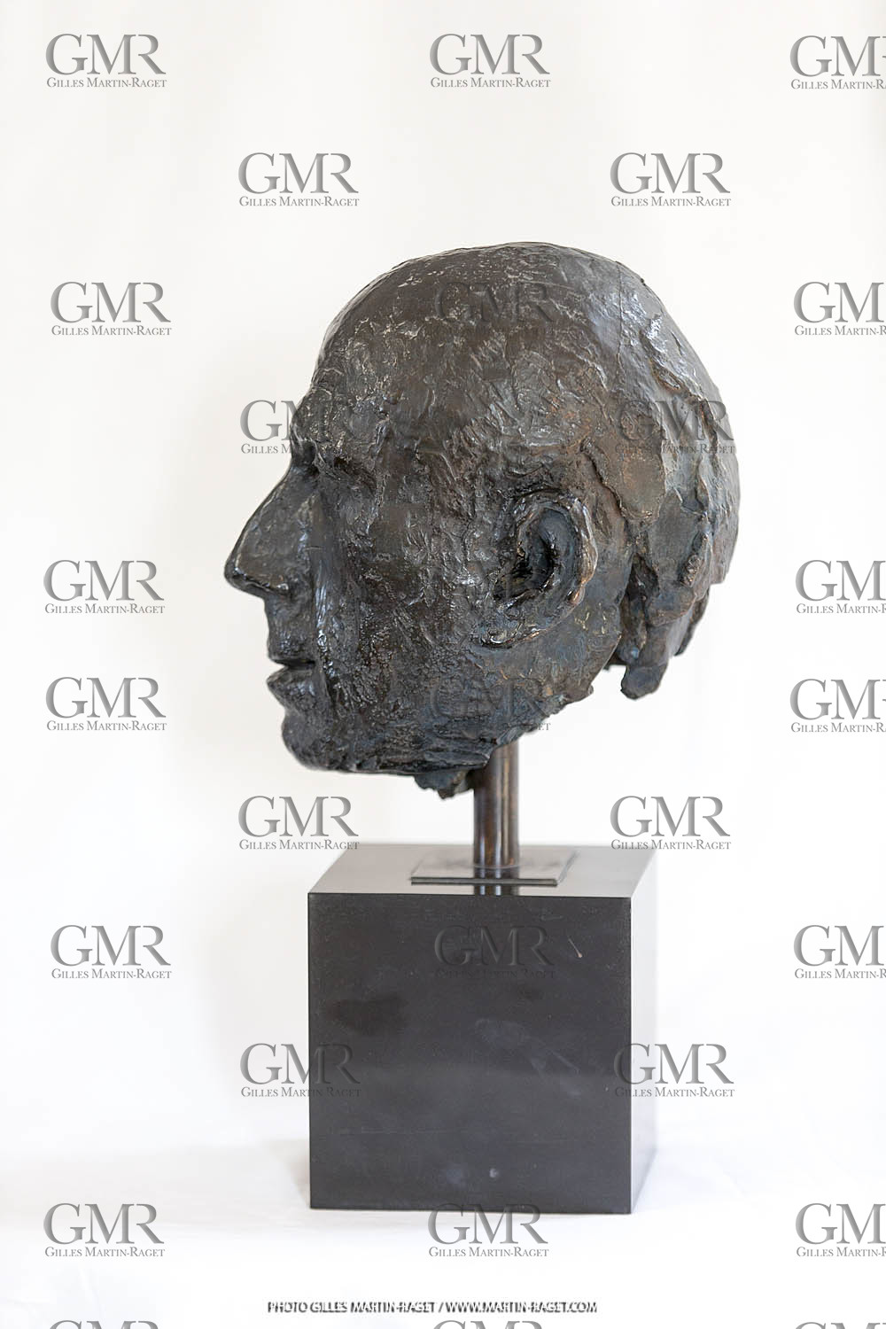 06 03 2016, Saint Etienne du Grès (FRA,13), Oeuvre de Germaine Richier, buste Le Guerrier, 1945, 5 8