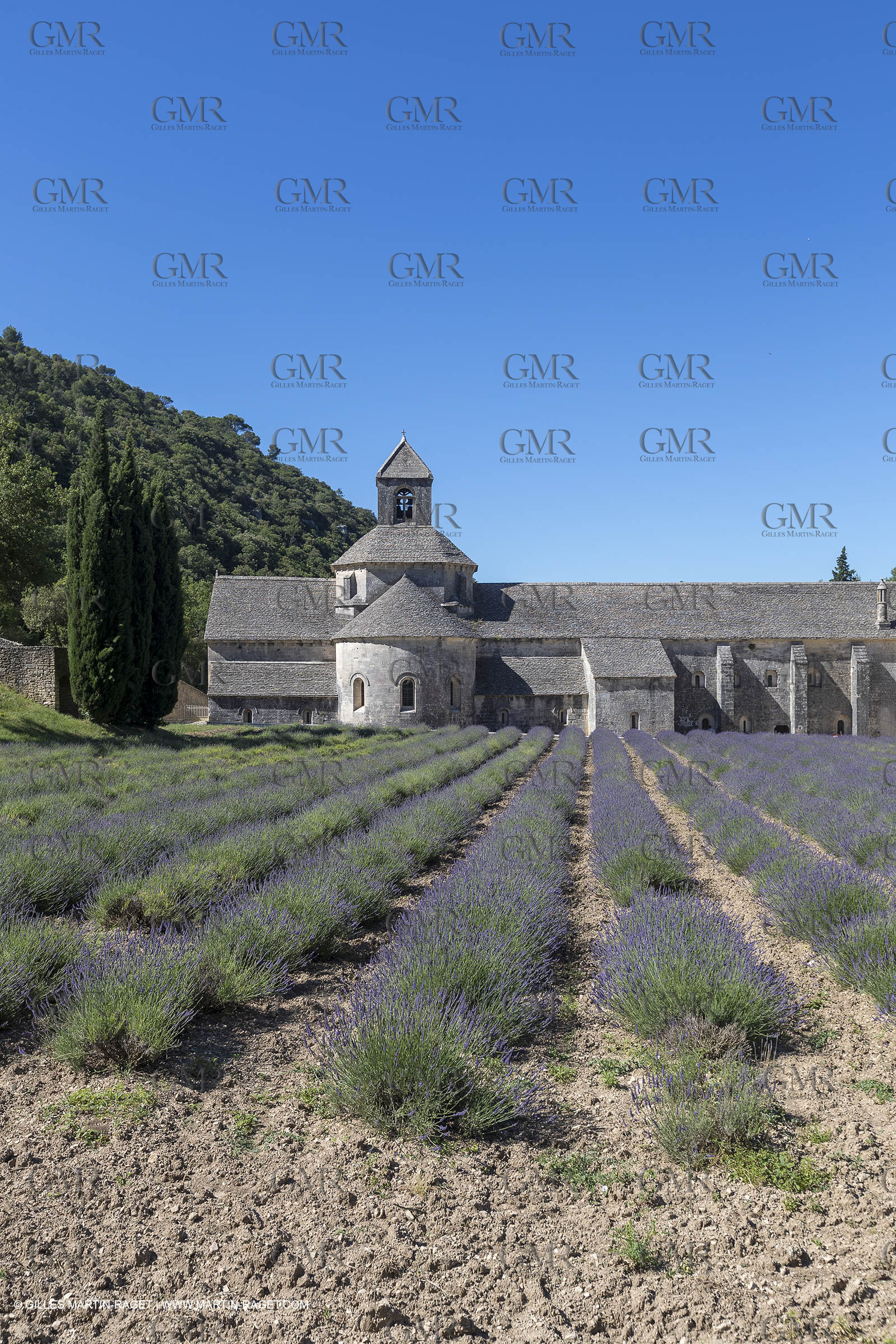25 06 2018, Gordes (FRA,84), Abbaye de Sénanque