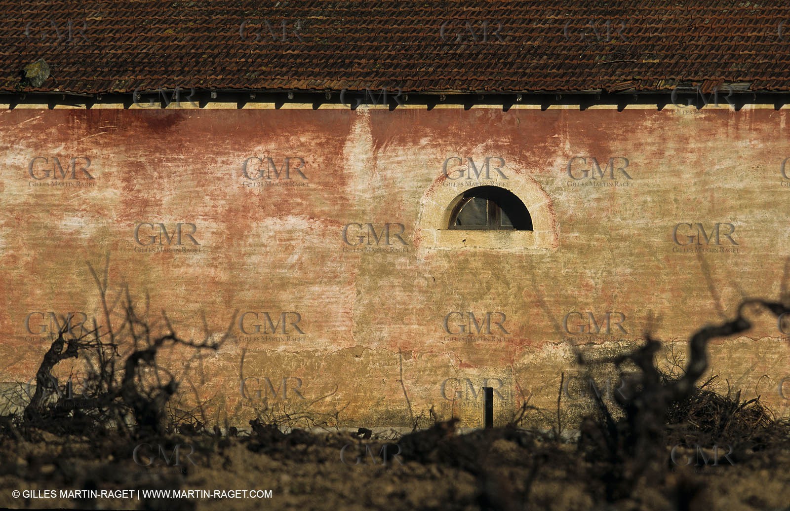 Paysages de Nîmes Métropole (FRA,30) -Costières