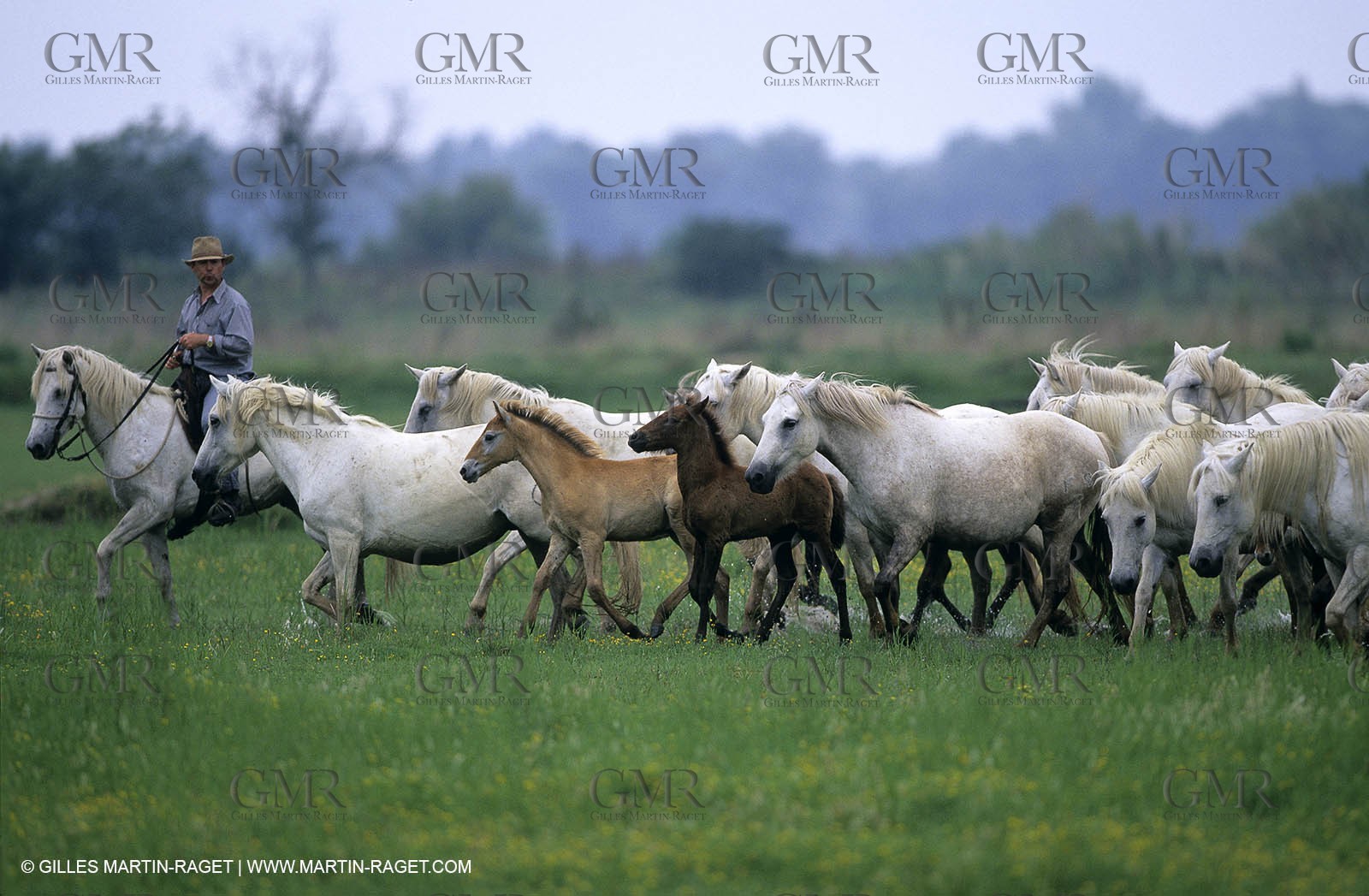 Camargue (FRA,13) - Gardians