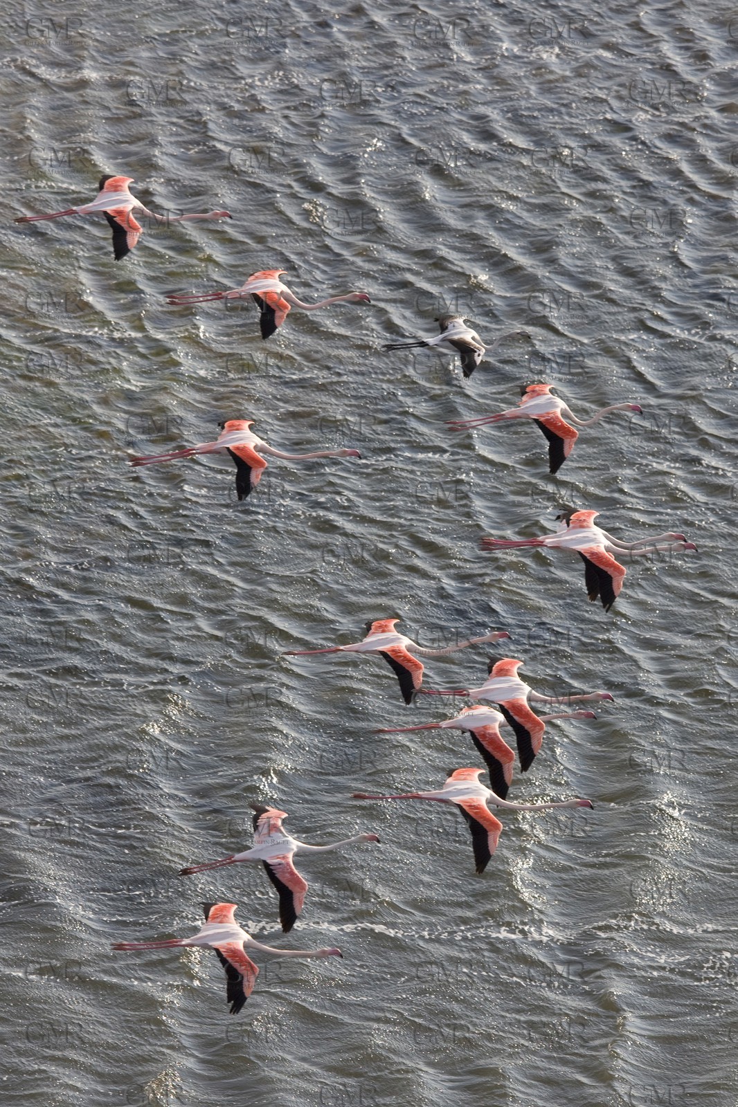 03 10 2008 - Fos   mer (FRA, 13) - L'Hydroptère - Speed record attempt