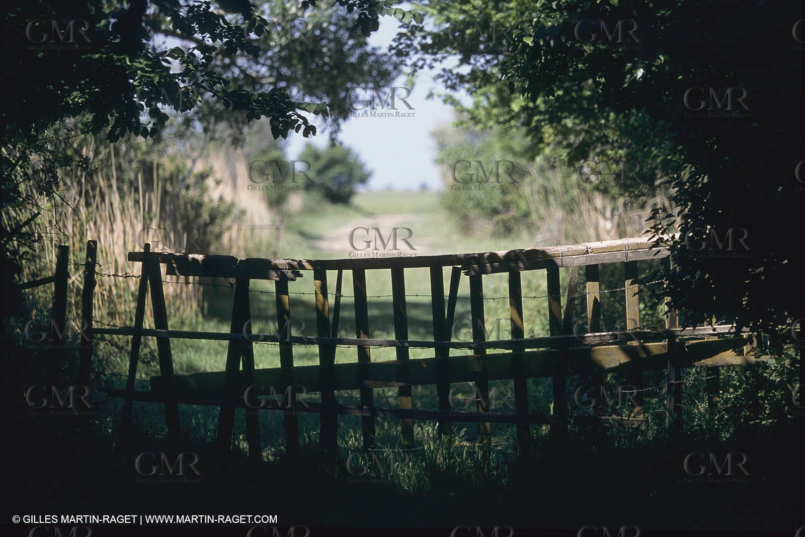 France, Provence, Camargue, Mas traditionnel de Camargue