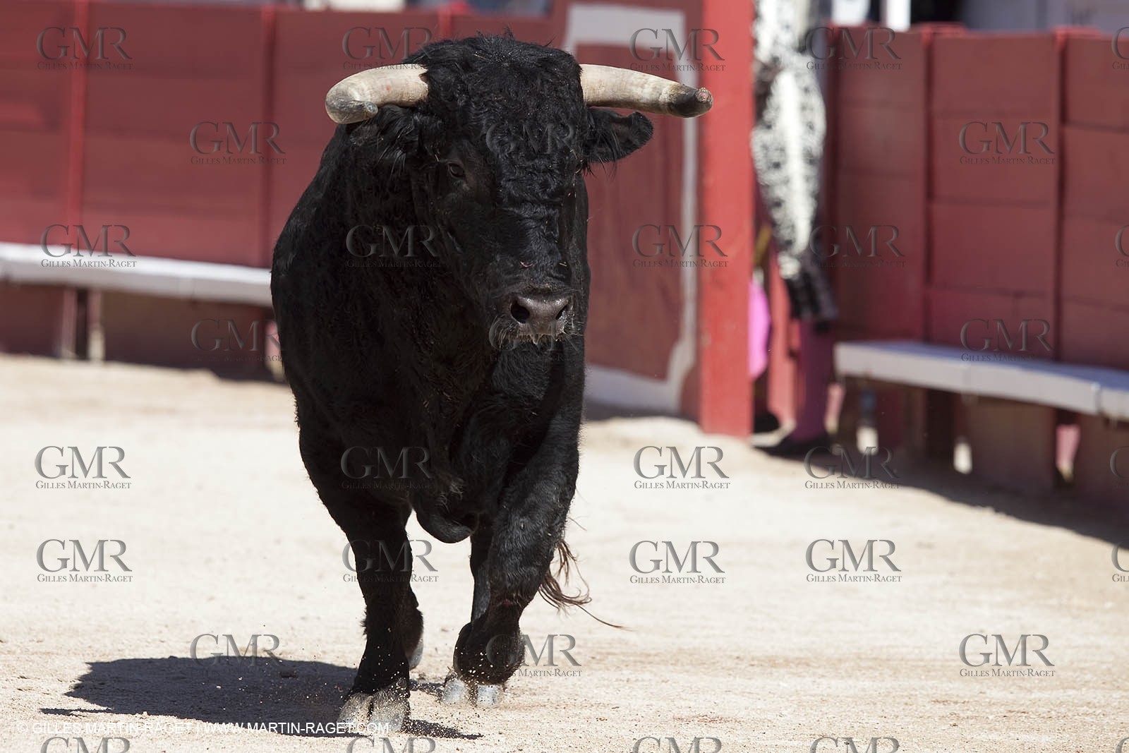 Monday 05 04 2010 - Arles (FRA,13) - Feria 2010 - -Corrida de rejon - Fermin Bohorquez - Pabloe Hemoso de Mendoza - Andy Cartagena - Toros Bohorquez