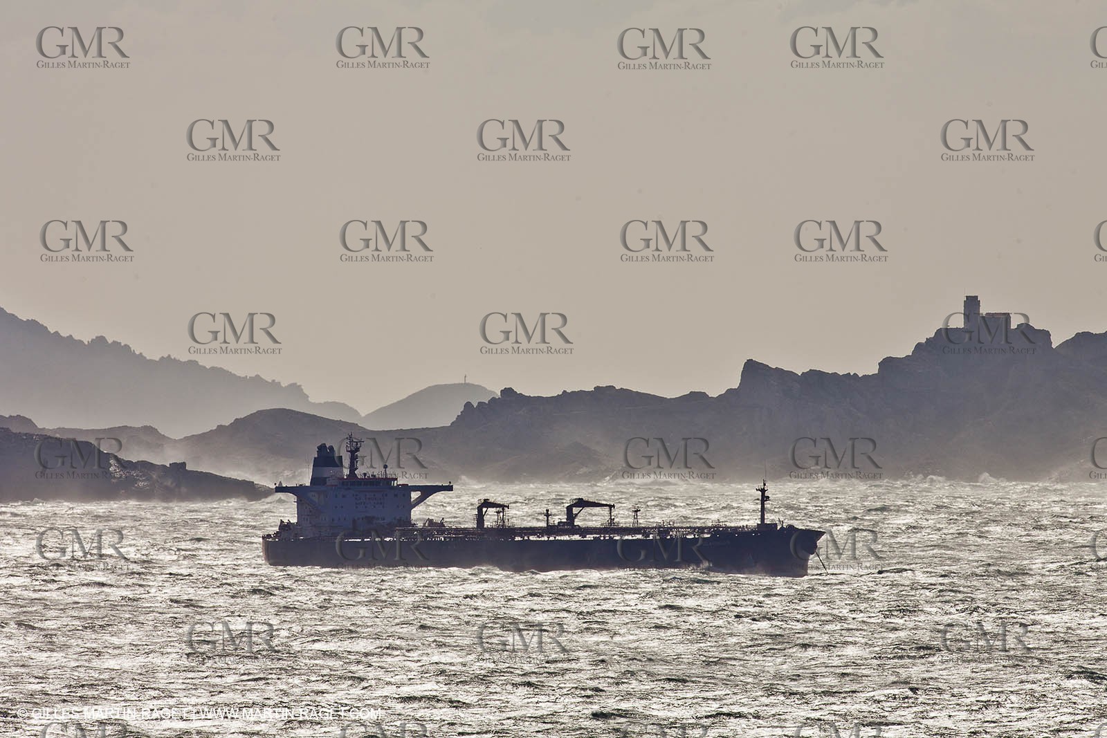 25 10 2010 - Marseille (FRA,13) - Navires au mouillage en raison d'un grève du personnel portuaire