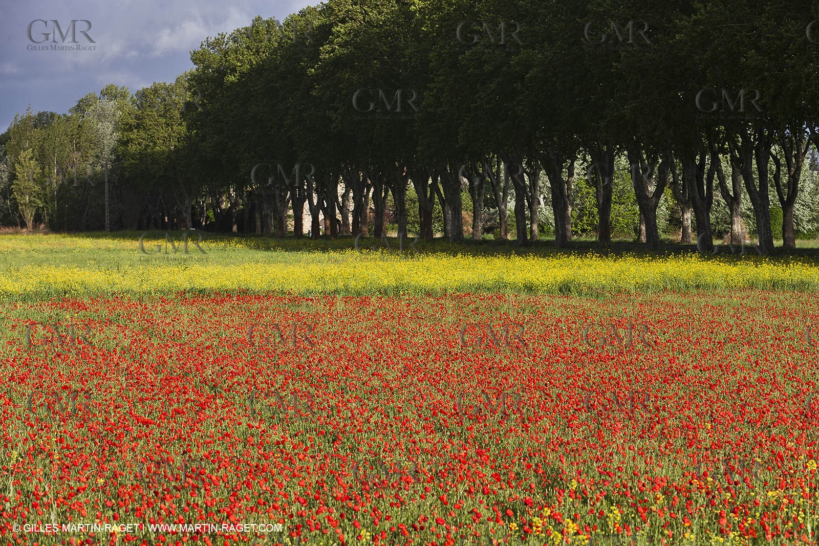 29 04 2012 ( Saint Rémy de Provence (FRA, 13) - Chaîne des Alpilles vers Romanin