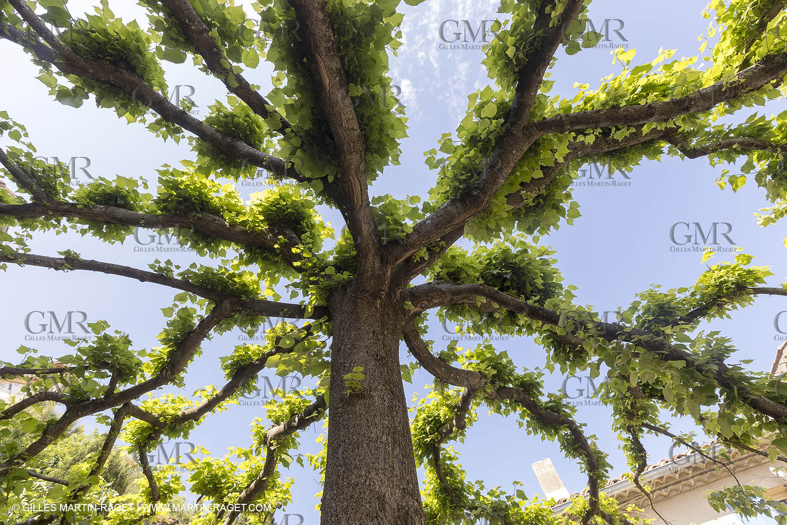 11 05 2018, Lourmarin (FRA,84)