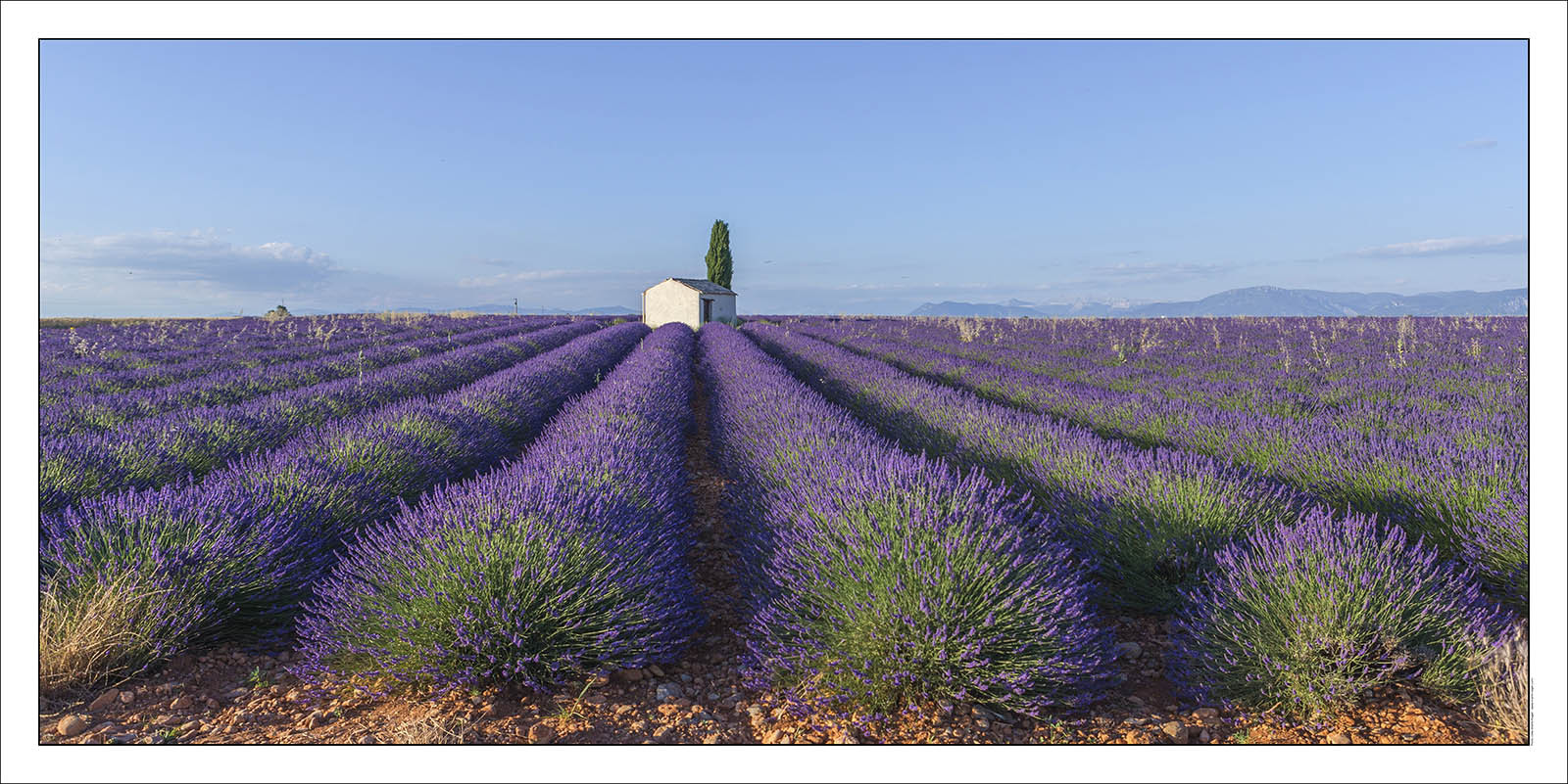 Product: in house made quality print on 8 ultrachome colors Epson ink Jet printer.Available sizes: . 50 x 100 cm. 100 x 200 cmAvailable papers: . Standard 250 gr glossy paper print, black streak, white margin, no signature. Top quality glossy 290 gr. paper, black streak, white margin, checked and signed by the author. Fine Art print (signed, numbered, stamped, registered) on demand. Other supports (Canvas, Acrylic, Metal) on demandPackaging: cylindric reinforced tubeShipping options: regular mail or Shipping companyClick on the basket icon to select your options and start the online ordering process