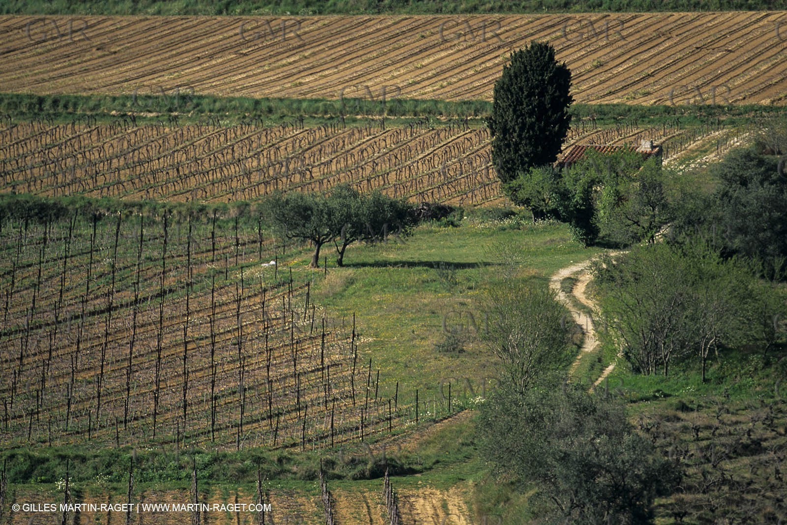 Paysages de Nîmes Métropole (FRA,30) -Costières