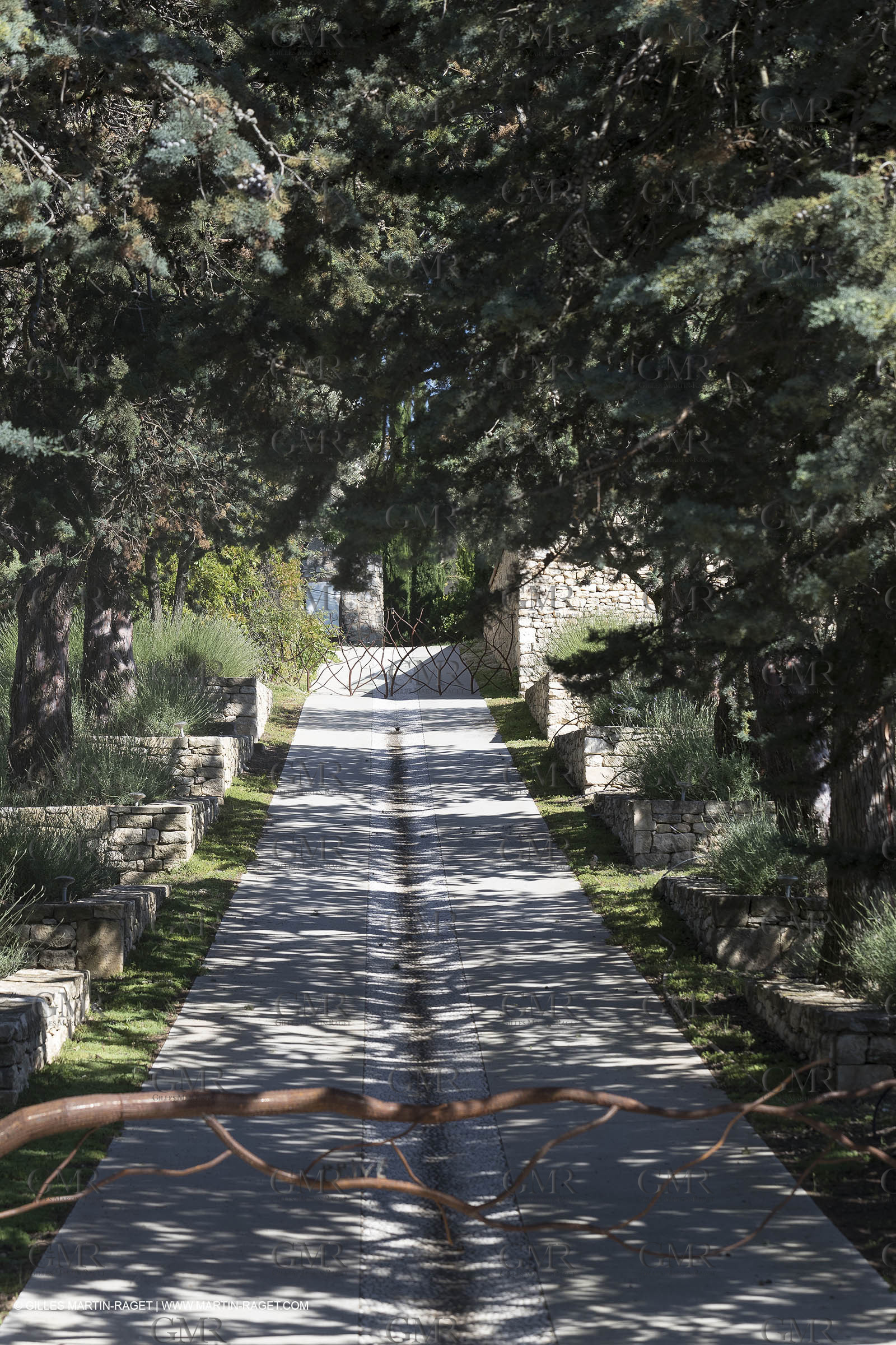 22 06 2018, Saint-Saturnin les Apts (FRA,84), Domaine des Andéols