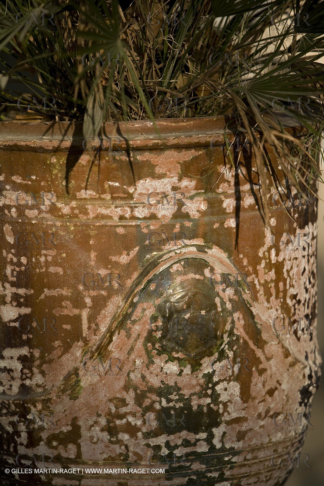 28 10 2007 - St Rémy de Provence (FRA,13) - Chateau des Alpilles