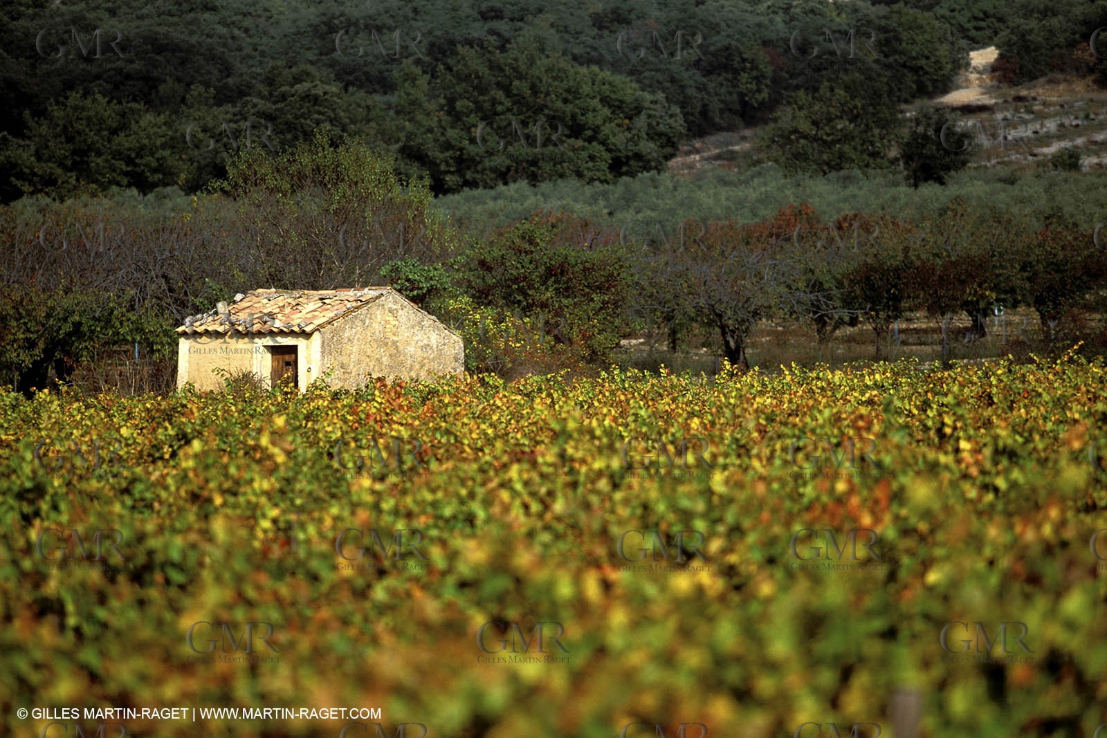 Roussillon
