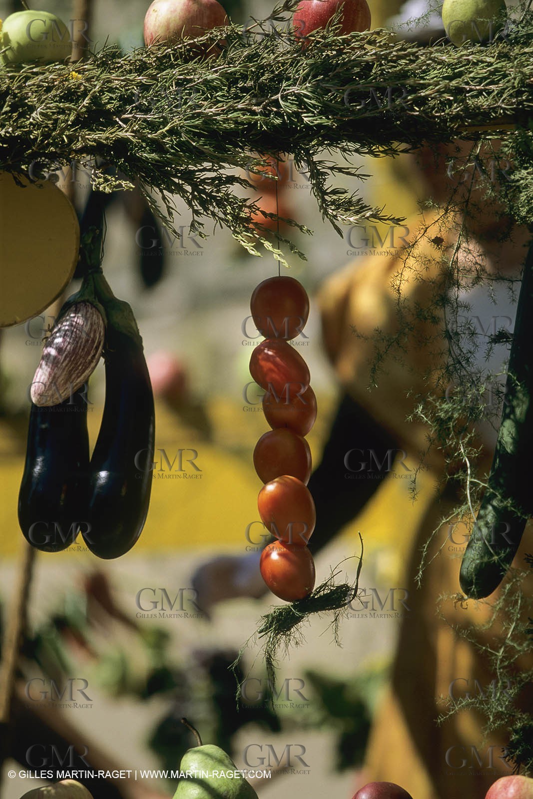 France, Provence, Saint-Rémy de Provence, Careto ramado (Char fleuri)