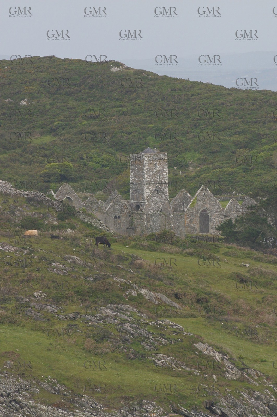Ireland - South west coast