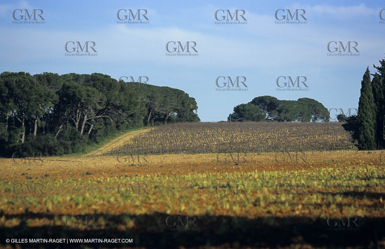 Paysages de Nîmes Métropole (FRA,30) -Costières