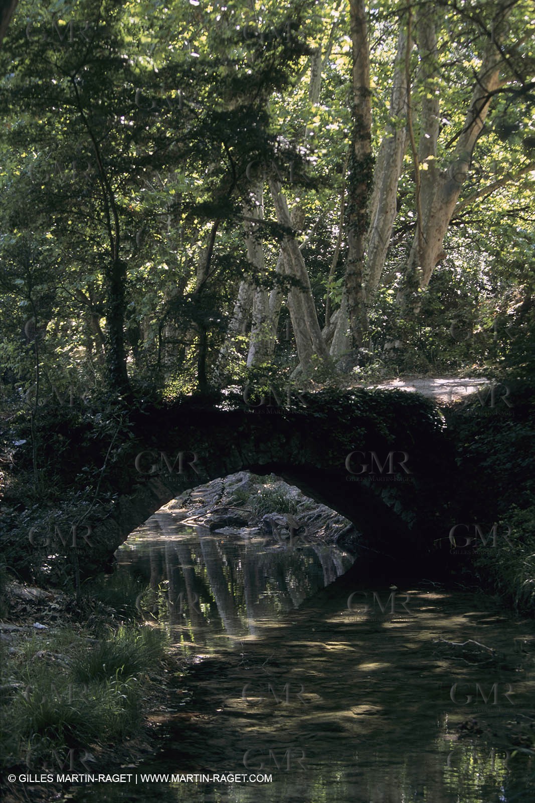 France, Provence, La sainte Baume, Provence verte, collines de Pagnol
