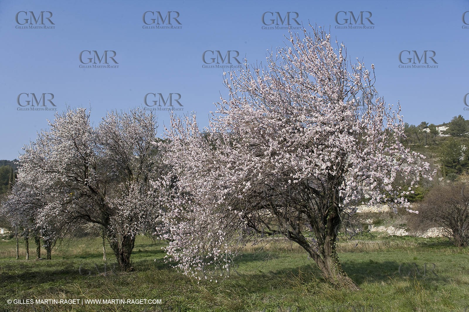 16 02 2008 - Les Baux de Provence (FRA, 13) - Alpilles hills landscapes
